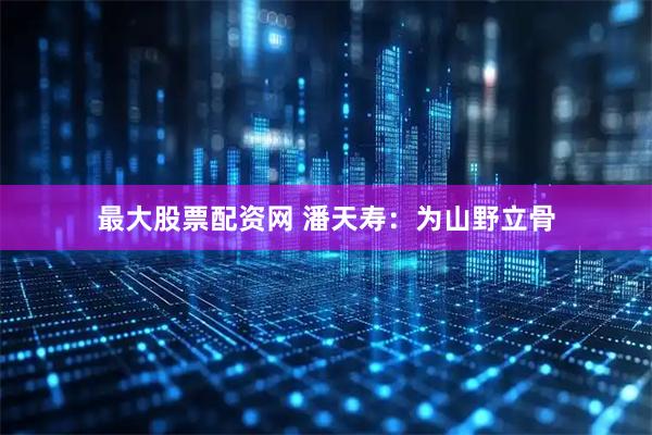 最大股票配资网 潘天寿：为山野立骨